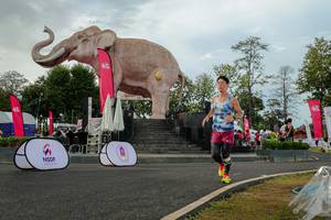 BIB: 
                            <button type="button" onclick="openModal(26528484)" class="btn btn-primary btn-sm float-right btn-popup" data-toggle="modal" data-target=".modal-high-quality">
                        <i class="fas fa-shopping-cart"></i> Add to Cart
                    </button>
                                            <button type="button" onclick="isThisMe(26528484, true)" class="btn btn-success btn-sm float-right btn-popup btn-isme hidden" data-toggle="tooltip" data-placement="bottom" title="นี่คือรูปของคุณใช่ไหม คลิกที่นี่เพื่อเอาเข้าอัลบั้ม">
                        <i class="fas fa-plus"></i> Add to album
                    </button>
                    <button type="button" onclick="isThisMe(26528484, false)" class="btn btn-warning btn-sm float-right btn-popup btn-isnotme hidden">
                        <i class="fas fa-ban"></i> Remove from album
                    </button>